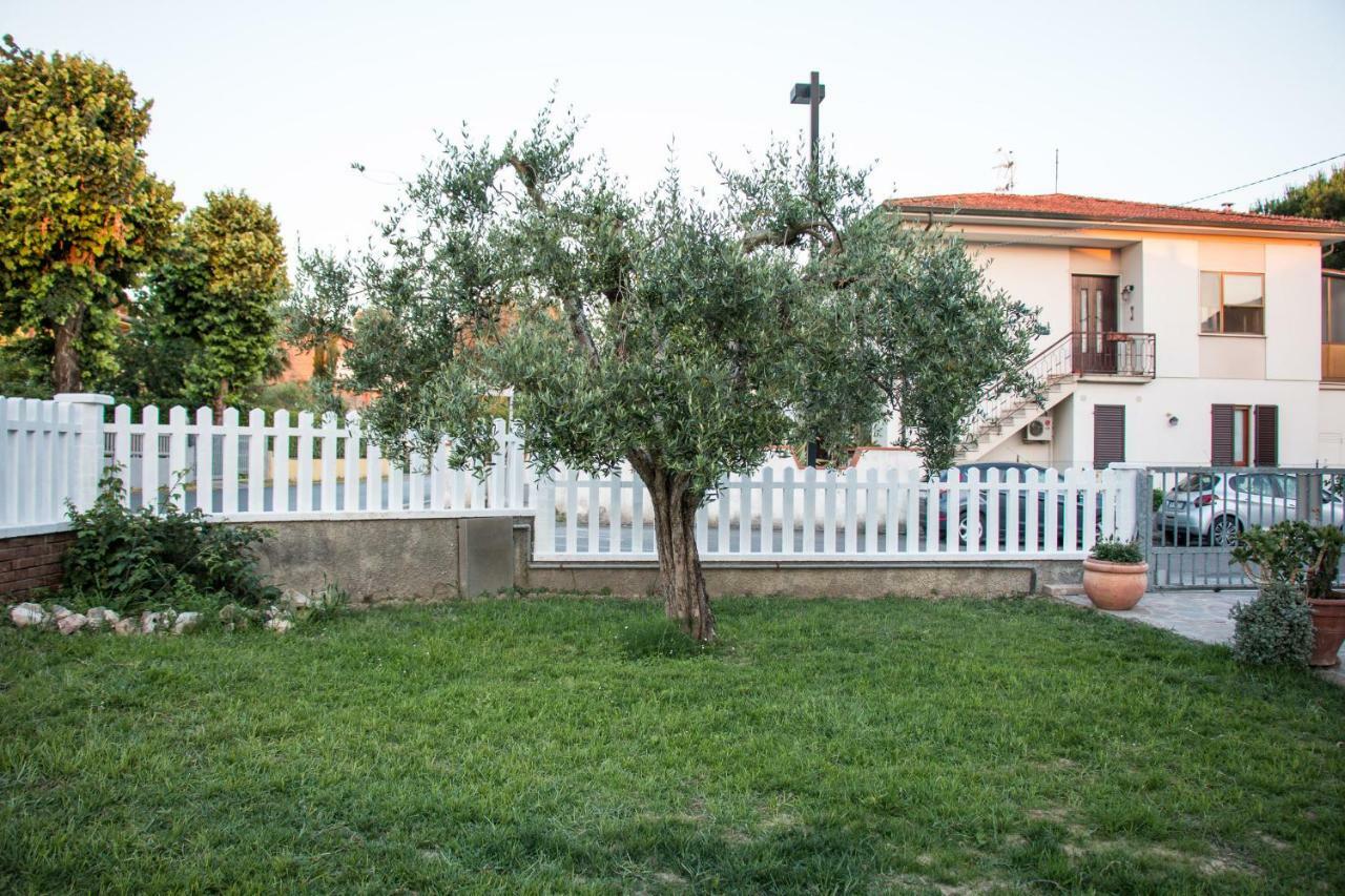 Luca'S Home In Tuscany Arena Metato Екстериор снимка